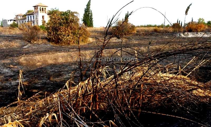 Nota sobre Haciendas cerealeras de Mexico