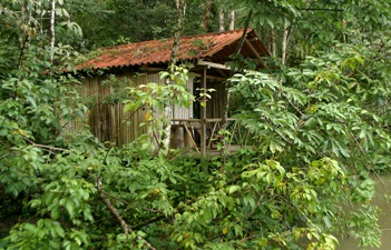 Nota sobre Campamento la Selva Lacandona