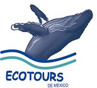 Nota sobre Campamento Ecotours Vallarta