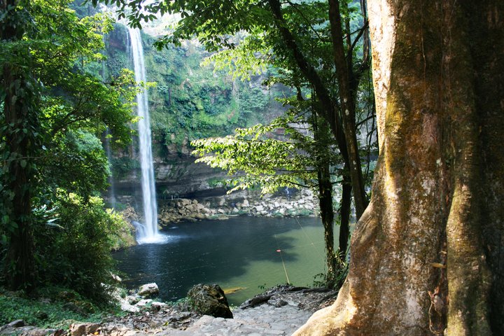 Nota sobre Balneario Cascadas de Misol-Ha