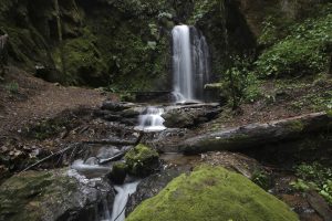 Balneario Cascada La Guacamaya