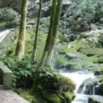 Balneario de Tambaque