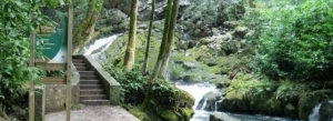 Balneario de Tambaque