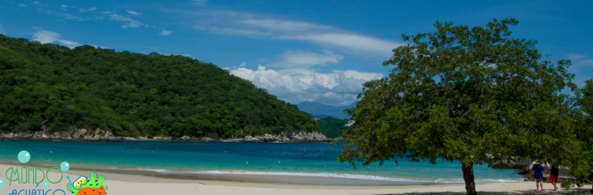 Mundo Acuático Huatulco