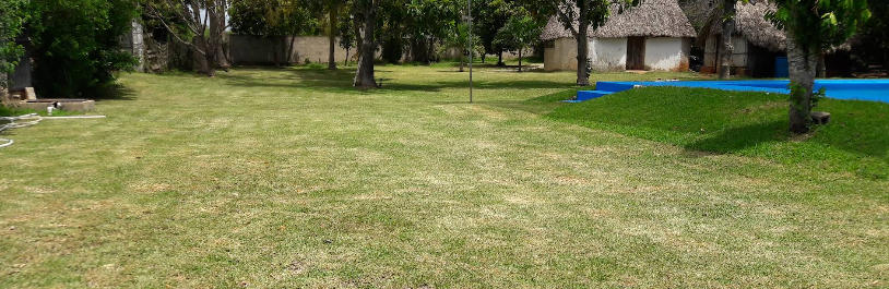 Balneario San Francisco Pustunich