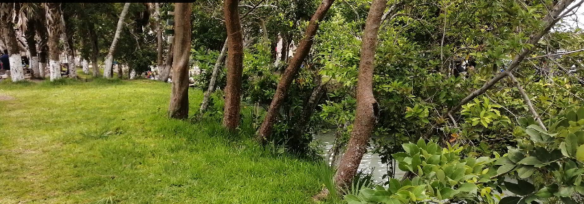 Balneario - El Salto