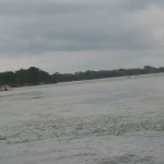 Balneario Nueva Zelanda