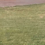 Sonoylandia Parque Acuatico