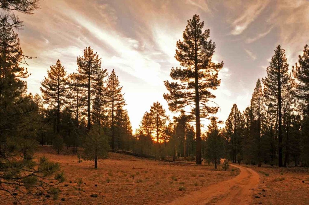 Parque Ecologico Cañon de Doña Petra