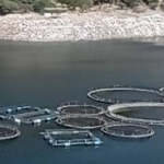 Manantiales "El Aguacate"