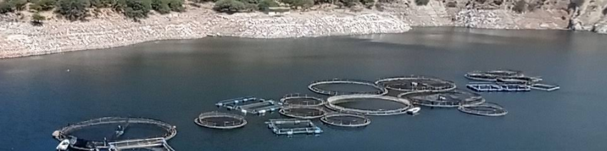 Manantiales “El Aguacate”