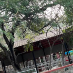 Aguas termales de Arivechi