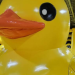 Inflalandia Quack Explanada Pachuca