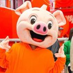 Oink Parque Temático de Cerditos Pachuca