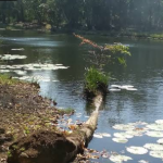 Ojo de agua Santiago Hampolol