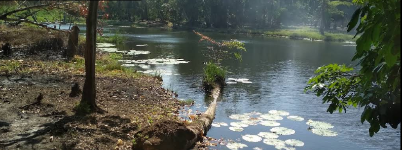 Ojo de agua Santiago Hampolol