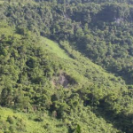 Rancheria Crucero El Manantial