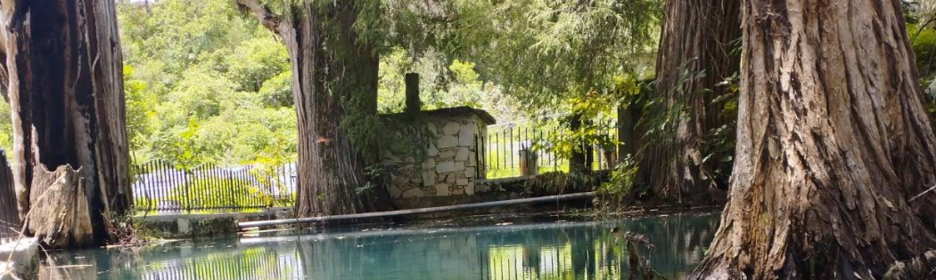 Manantial San Miguel