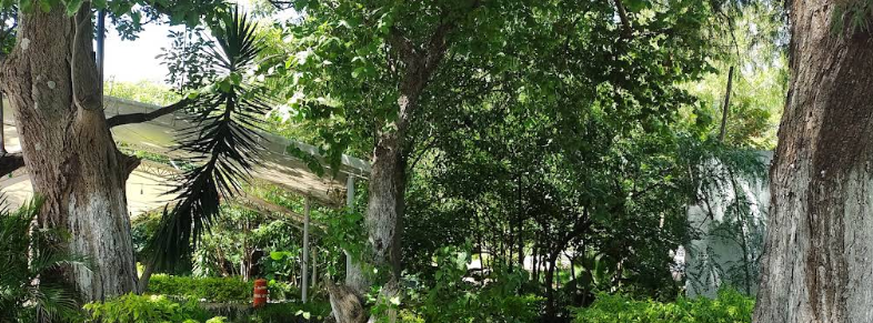 Parque Ecologico Los Manantiales