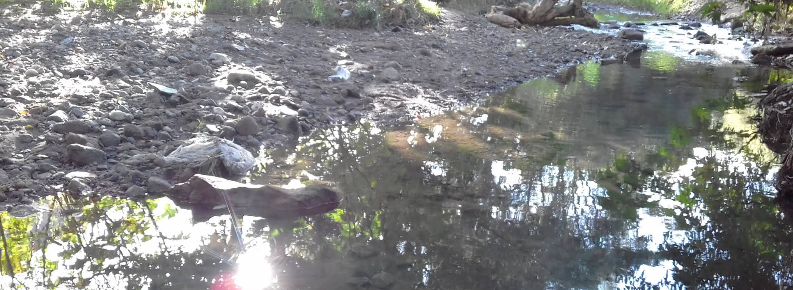 Reserva Ecológica Las Cuevas