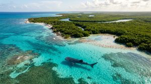 La Majestuosa Península de Yucatán: Cuna de Vida Costera